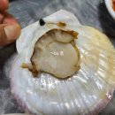 막썰어회도매센타 이미지