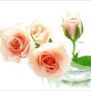 마음엔뜰 이미지