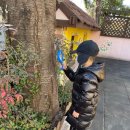 아이뜰유치원 이미지