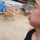 전이랑and튀김이랑 티스토리