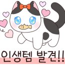 캔닷컴 이미지