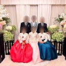 우리가족 생활한복(중급) | 제주 혼주, 신랑 신부 피로연 한복 대여 '고운한복' 후기