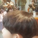 타니아헤어 - 남동구 포구로 96 | 타니아헤어