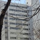 두산위브 | 영등포구 문래 두산위브 임장후기