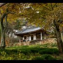 환벽당길 이미지