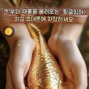 사구보세 이미지