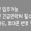 디어.엔 Daum카페
