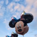 파리미키 이미지