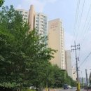 GS25성북동진 이미지