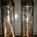 중앙로1L 이미지