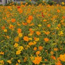 (주)송현 이미지