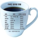 카페인 네이버블로그