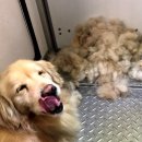 신남케어 이미지