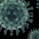 간석3동-4 이미지