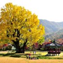 심천힐링관광농원 | 충남 금산 여행정보