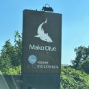 동홍동 재활용 도움센터 | 제주도체험다이빙 마코다이브에서 새로운체험