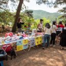 어라운드펫스쿨 이미지