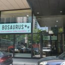 보사우러스(Bosaurus)