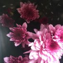 가나화원 이미지