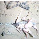 물고기세상 이미지