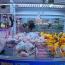 샾(#) 인형뽑기 이미지