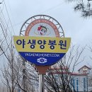 야생양봉원 이미지