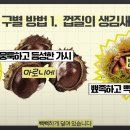 마로니에 이미지