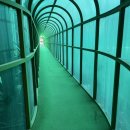 우정스크린골프 이미지