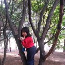 즐거운상아어린이집 이미지