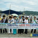 나정식품