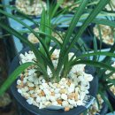 진성트레이드 이미지