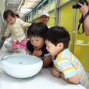 반딧불마을 이미지