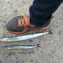 삼사낚시터 이미지