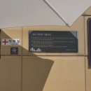 진도가든 | 쏠비치 진도 인피니티풀 / 할인 꿀팁 / 키즈풀까지 완벽 후기