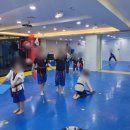 월드스타클래스태권도장 이미지