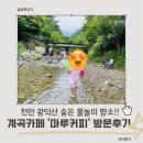 초입커피 | 천안 아이와 가볼만한곳 추천! 광덕산계곡 품은 마루커피 물놀이 후기