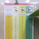 조은동물병원 이미지