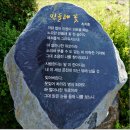 외씨버선길(치유의길) | 외씨버선길7구간ㅡ치유의길(덤으로 일월산산행)