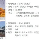 지정26 이미지