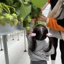 기담농장 이미지