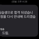 트라이코 코리아 화상면접 후기 / 현장실습 / 연말정산