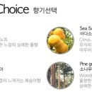 센트레스트 이미지