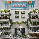 대조동주민센터 이미지