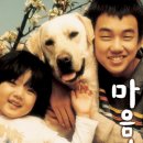 메디 포즈 동물병원 이미지