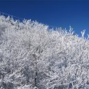 덕유대야영장 이미지