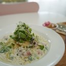 댕글라이프 이미지