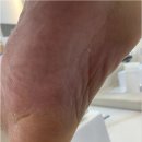 건지솔루션 이미지