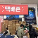 오즈캣 | 2025 서울 학여울역 궁팡 캣페어 박람회 다녀온 후기