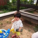꼰대삼촌