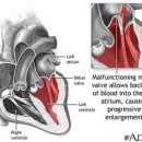 24시마음든든동물병원 이미지